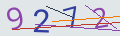 verifycode